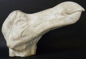 A representative of extinction- the dodo head cast. Specimen LDUCZ-Y86 (C) UCL / Grant Museum