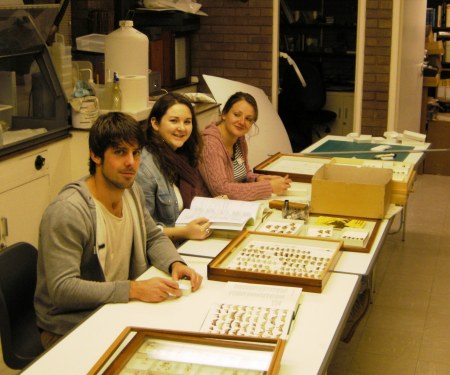 Mark Ashby, Joanne O'Keeffe and Lindsay Selmes, Staffordshire University MSc student volunteers sorting lepidoptera.