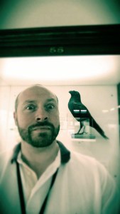 Our Chair looking Poe-faced with a Raven