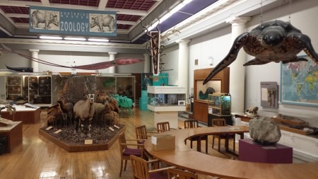Hunterian Zoology Museum, Glasgow University. Photo: Glenn Roadley