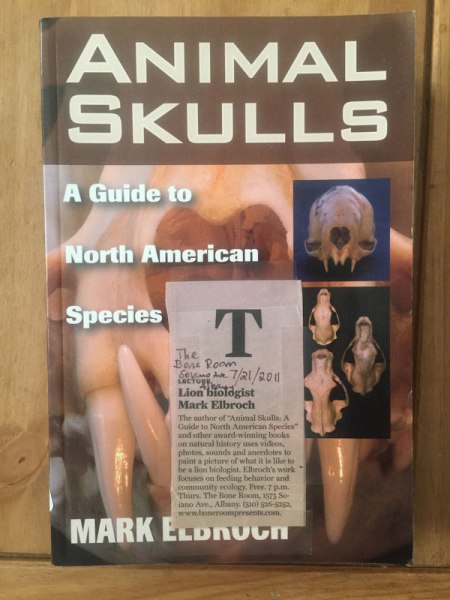 Animal Skulls