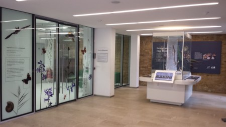 Interior of the Angela Marmont Centre, NHM