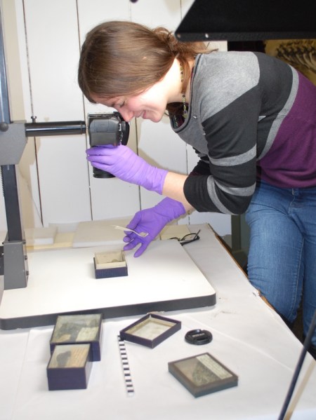 Heather working at Bristol Museum