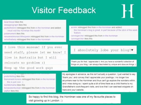 Visitor feedback for In The Horniman Tumblr page