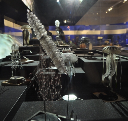 An example of a Siphonophore shown amongst many other Blashka models (Image: Anthony Roach)