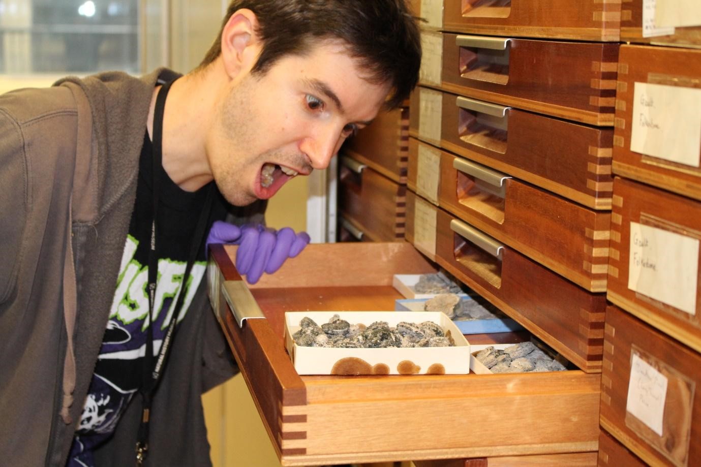 Distressing scenes for fossil enthusiasts: a drawer of fossils with pyrite decay