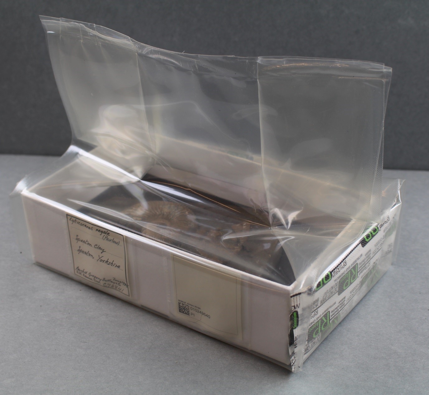 Specimens re-housed in an anoxic microenvironment, sealed in a bag