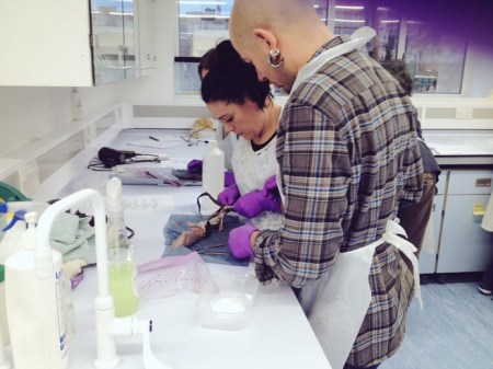 Rhian Rowson and Matt Williams sharing skills at Carcass Prep training