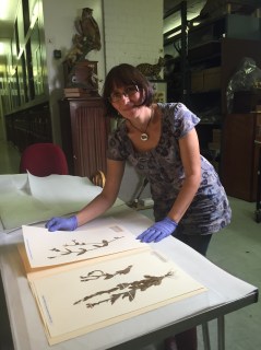 Victoria Purewal viewing Broughton plant specimens
