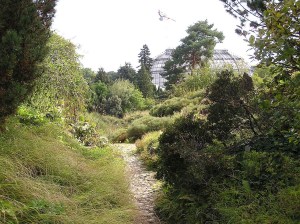 A view within the Botanic Garden, Berlin. (Mauruszat, 2006, image in public domain).