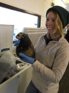 Volunteer, Jessica Mitchell proudly wielding a polecat from the freezer “faunal assemblage"