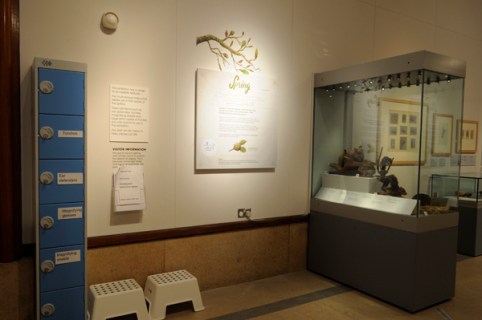 Locker with accessibility aids, step stools and panel with Makaton