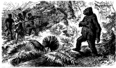 Illustration from 'Wild life under the equator. Narrated for young people'. Paul Chaillu (1896)