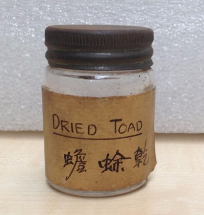 dried toad