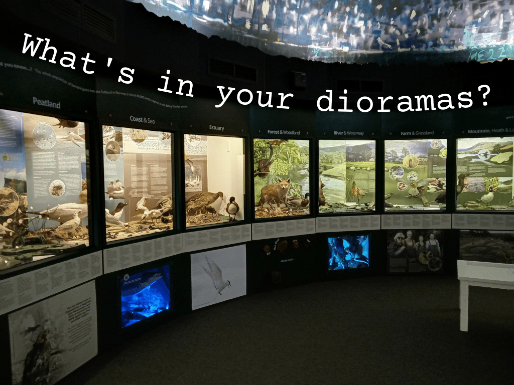 The wildlife dome at Tullie House Museum and Art Gallery