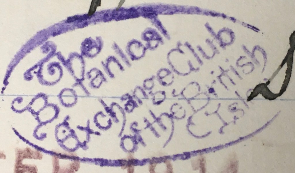 Image showing a purple ink stamp which appears with 6 herbarium specimens, linking them to the BEC reports of 1913 and 1920.