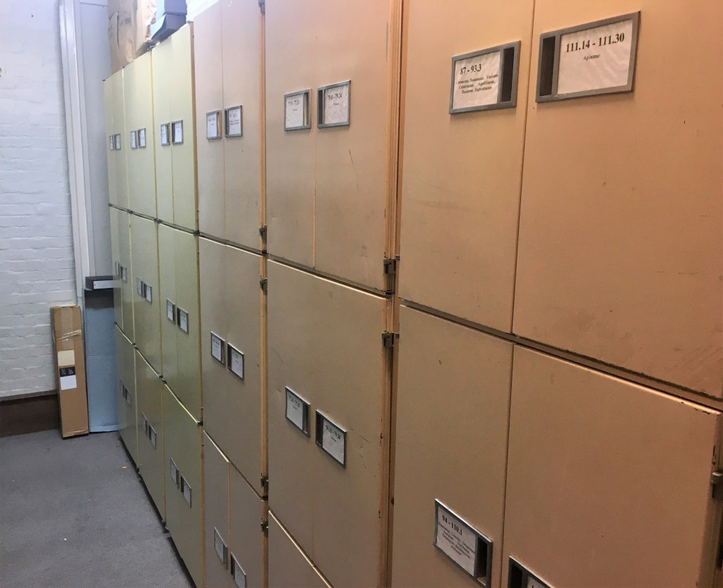 Image of herbarium cabinets at Portsmouth City Museum