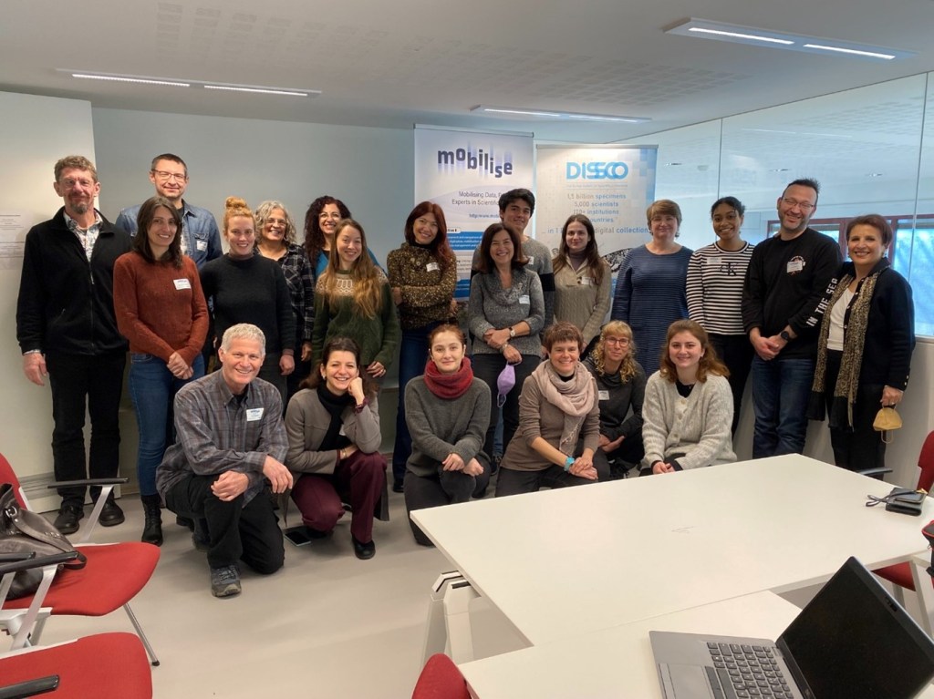 A group photo of the 21 attendees and group leaders at the 4th MOBILISE Action Training School, Brussels