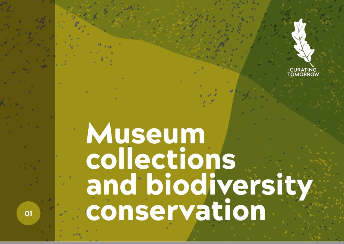 Addressing Biodiversity Loss and Climate Change Together: A Great ...